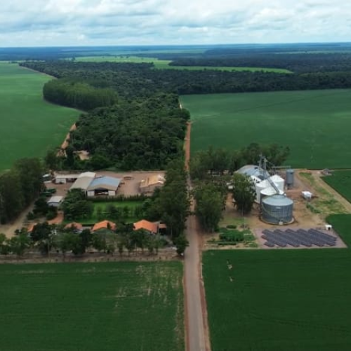Justiça determina reintegração de posse de fazenda invadida por posseiros há 20 anos em Mato Grosso