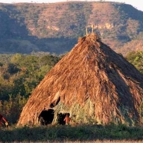 Justiça determina retirada imediata de invasores em terra indígena em Mato Grosso