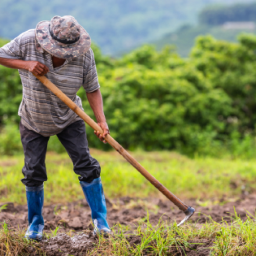 Justiça do Trabalho procura sucessores de trabalhador falecido durante processo