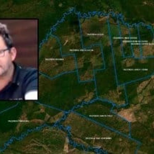 Justiça libera gado de pecuarista acusado de megadesmate no Pantanal
