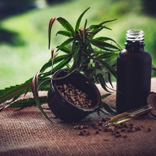 Justiça libera plantio de maconha em casa para tratamento de paciente tetraplégico em MT