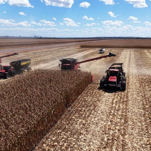 Mato Grosso puxa alta na estimativa de produção agrícola e consolida liderança nacional