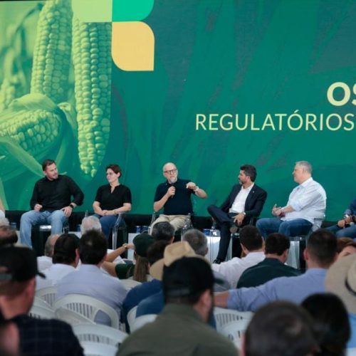 Líder nacional, Mato Grosso dá início à colheita da segunda safra nacional de milho
