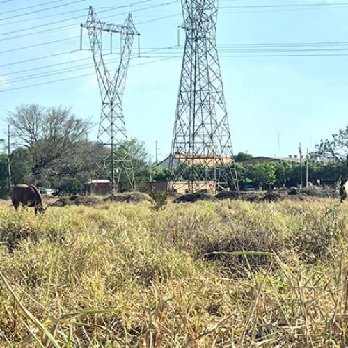 RONDONOPOLIS: “Linhão” destoa da atual paisagem urbana em região de grande expansão econômica
