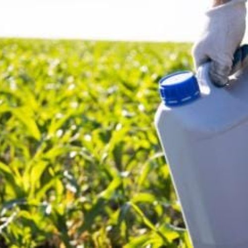 MPF apura legalidade de licenciamento para fabricação de agrotóxicos em Cuiabá