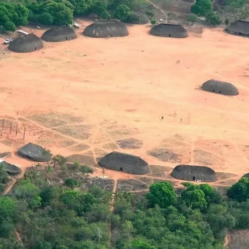 MPF investiga construção de estrada dentro da Terra Indígena Parque do Xingu em Mato Grosso