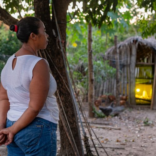 MT abre edital de seleção para agricultores familiares acessarem recursos