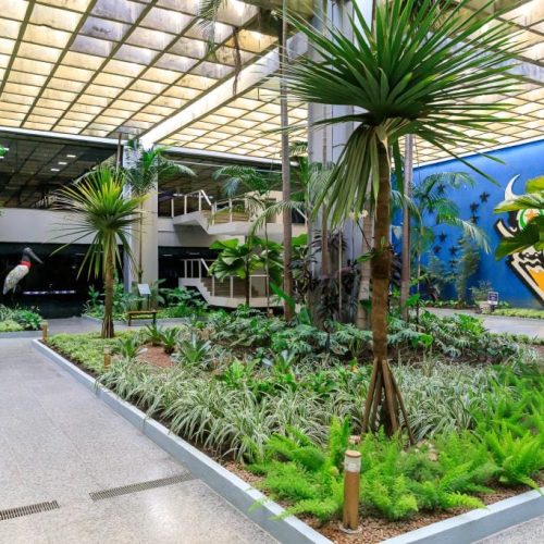 MT decreta ponto facultativo e terá folga de quatro dias; veja o que abre e fecha nos órgãos estaduais