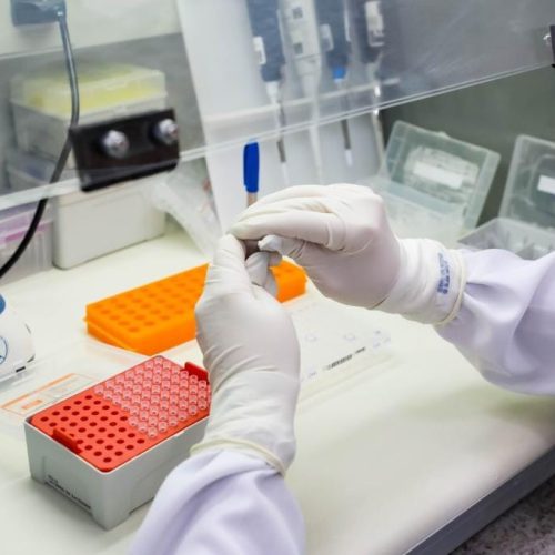 MT identifica nova variante da Covid-19 em Cuiabá, VG e mais dois municípios; vírus já circula no país
