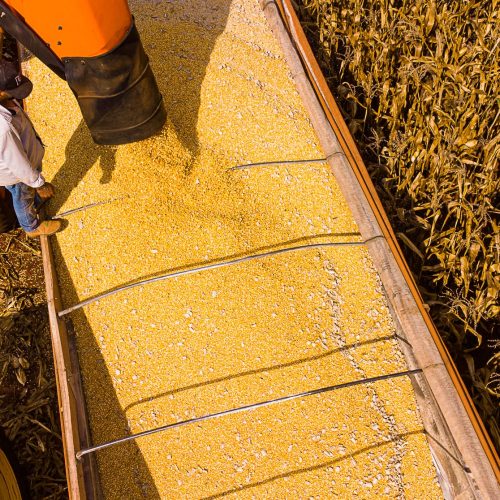 MT lidera saldo da balança comercial brasileira no primeiro semestre exportando US$ 14 bi