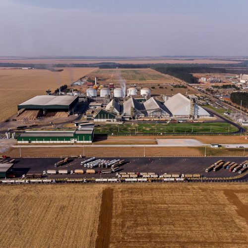 MT registra nova alta na previsão do PIB de 2025 e permanece líder em crescimento econômico do país
