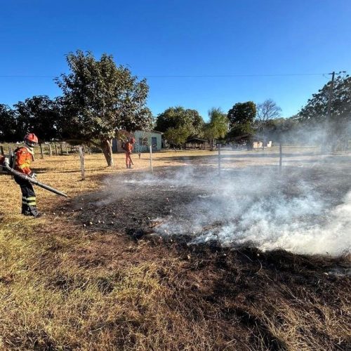 MT registra redução de 71% nas áreas afetadas pelo fogo; Pantanal é área mais preservada