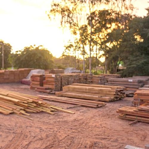 RONDONOPOLIS: No dia 30 de junho: Secretaria de Meio Ambiente fará leilão de madeiras apreendidas