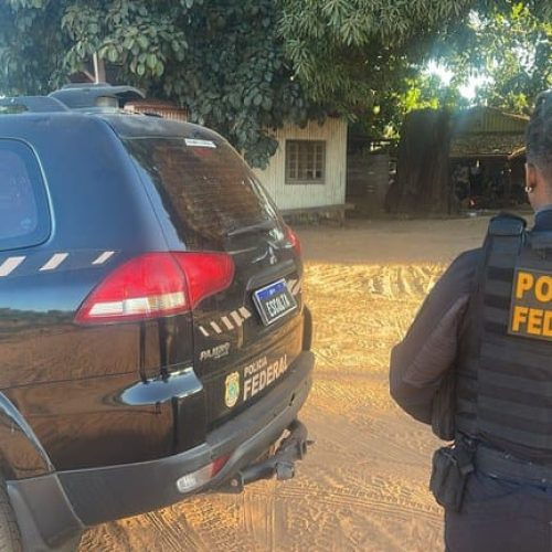 Madeireiras são alvos da PF por receptação de madeira extraída de terra indígena em MT