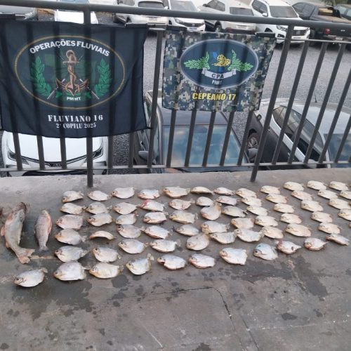 Mais de 20 quilos de pescado irregular são apreendidos pelo Batalhão Ambiental