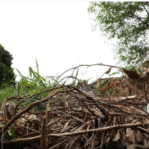 Mais de 300 terrenos baldios já passaram pela operação “Fiscaliza e Cuida”