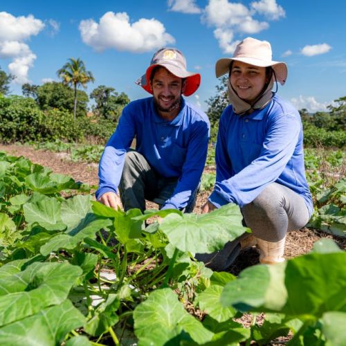 EM SEIS ANOS: Governo de MT investiu R$ 720 milhões na agricultura familiar