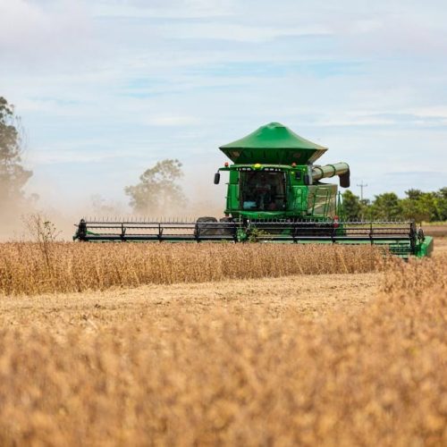 Mato Grosso consolida protagonismo na produção mundial de grãos e fibras