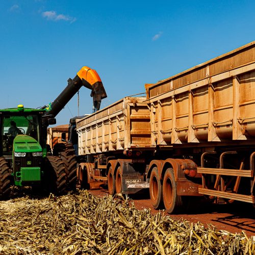 Mato Grosso finaliza colheita da segunda safra de milho com recorde de produção