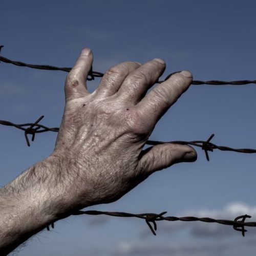 Mato Grosso lidera violência rural com aumento chocante de conflitos, revela CPT