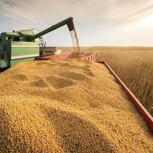 Mato Grosso puxa alta na estimativa de produção agrícola e consolida liderança nacional