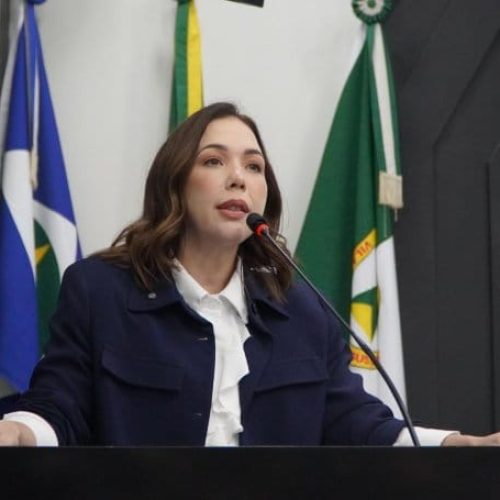 Maysa diz que Abilio tem “comportamento infantil” e faz gestão de “pouca entrega e muita conversa”