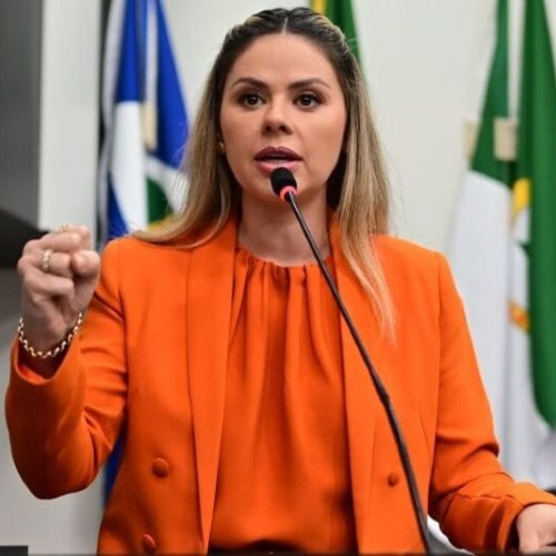 Michelly Alencar não descarta convocar Emanuel para depor na ‘CPI das Fraudes Fiscais’