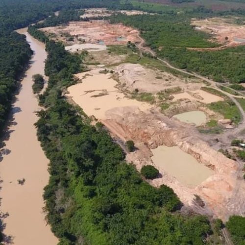 Ministério Público fecha o cerco a cooperativas por extração ilegal de ouro