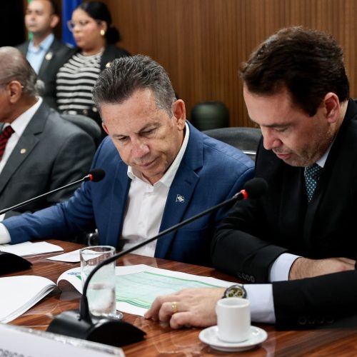 Ministério Público propõe ajudar o Estado no combate aos crimes ambientais