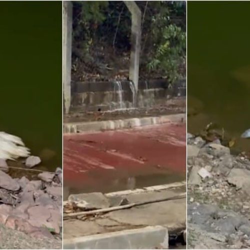 Moradores relatam abandono de Parque das Águas, morte de animais e esgoto a céu aberto