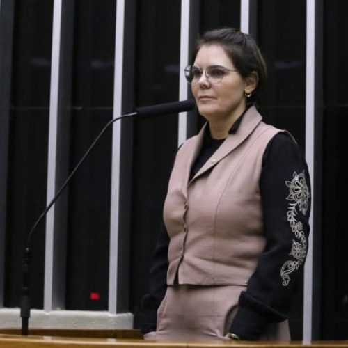 Moratória da soja é suspensa pelo CADE após denúncia da deputada Coronel Fernanda