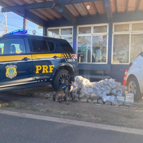 Motorista é preso pela PRF com 84 kg de drogas em HB 20 na rodovia BR-364