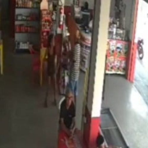 Mulher de 62 anos é presa após esfaquear homem dentro de bar em MT; veja vídeo