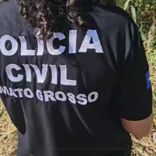 Mulher é presa por maus-tratos a gatos em Cuiabá; um foi encontrado morto perto da casa dela