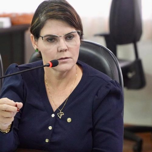 Nova regra para assentamentos é aprovada na Comissão de Agricultura