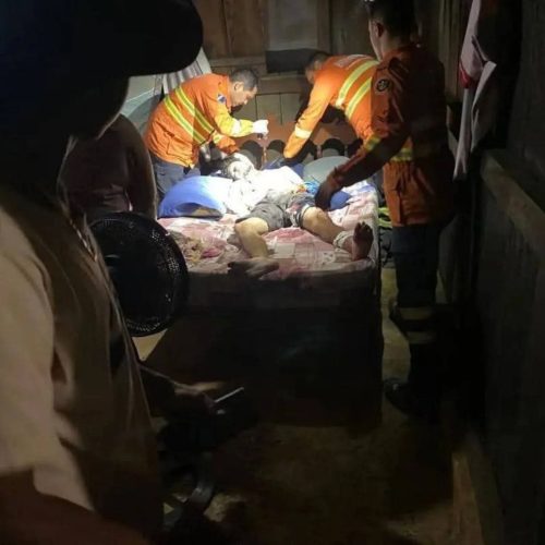 Peão atacado por onça-pintada no Pantanal está fora de perigo, afirma família