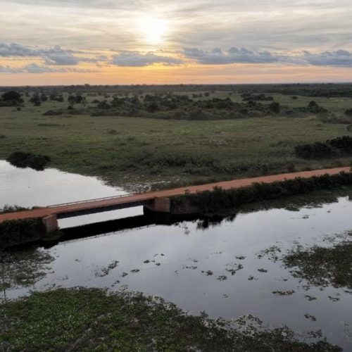 Obras em pontes na rodovia Transpantaneira melhoraram acúmulo de água no Pantanal