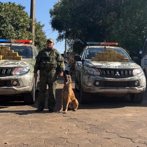 Ônibus que transportava pacientes é apreendido com 50kg de pasta base de cocaína em VG