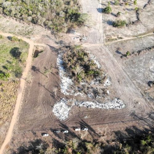 Operação integrada identifica queimada ilegal no Pantanal e multa infrator em R$ 20 mil