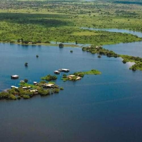 Mato Grosso protagonista: Embratur leva Pantanal a Nova York para conquistar mercado internacional