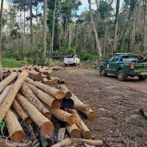 PC, Funai e Ibama deflagram operação contra desmatamento ilegal em reservas indígenas