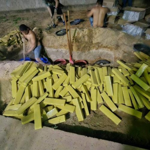 PC apreende duas toneladas de maconha enterradas em chácara e prende traficantes na capital