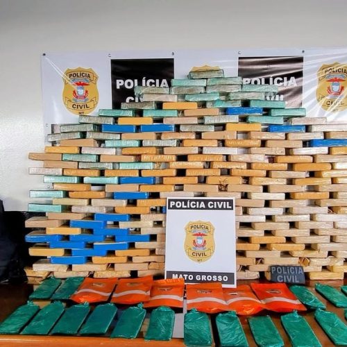 PC cumpre mandados contra responsáveis por droga avaliada em R$ 3 milhões