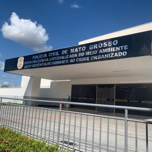 PC encontra gatos mortos em casa e prende homem por suspeita de maus-tratos