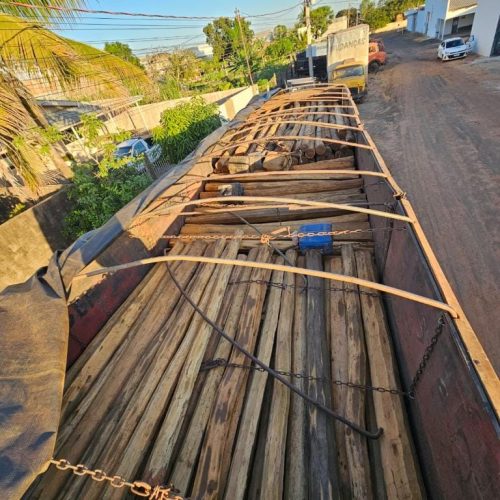 PC intensifica combate ao transporte ilegal de madeira entre Mato Grosso e Rondônia
