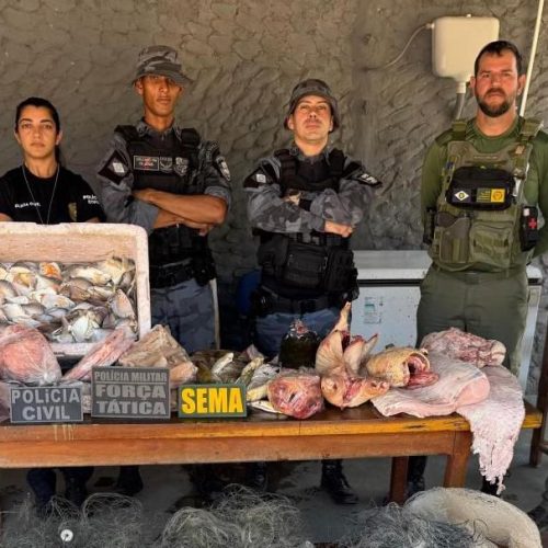 Polícia apreende 77 kg de pescado ilegal em Mato Grosso; empresário preso