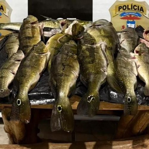 Polícia Civil faz operação Rede Rompida em combate à pesca predatória em Mato Grosso