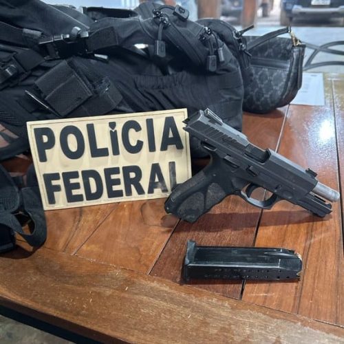PF deflagra operação contra falsificação de documentos e exploração ilegal de madeira