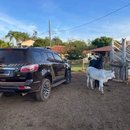 PF deflagra operação contra grilagem de terras e lavagem de dinheiro e cumpre mandados em MT