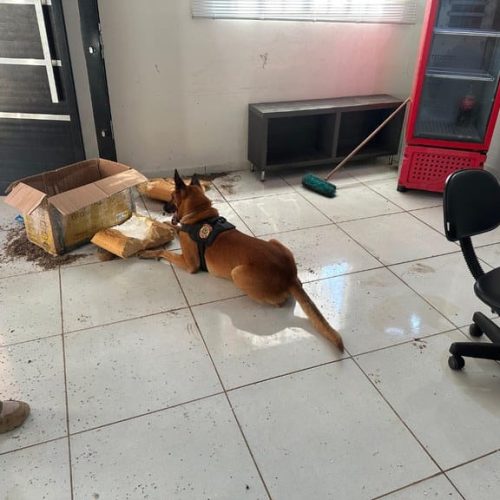PF deflagra operação contra tráfico e lavagem de R$ 150 milhões, e prende dois no aeroporto de VG